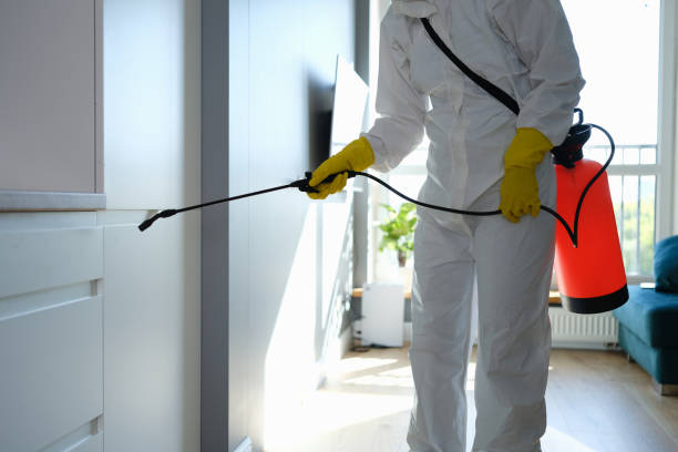 Best Office Mold Removal Services  in Crystal City, MO