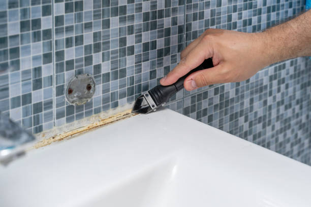 Best Mold Testing  in Crystal City, MO